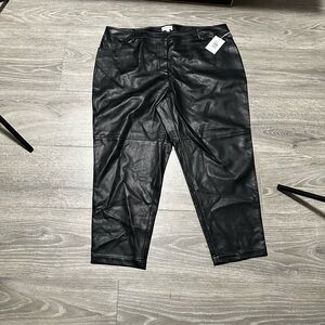 NWT Hudson North Black Faux Leather Pants-18W